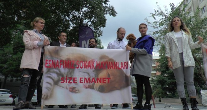 Kozyatağında Sokak Hayvanları Artık Esnafa Emanet