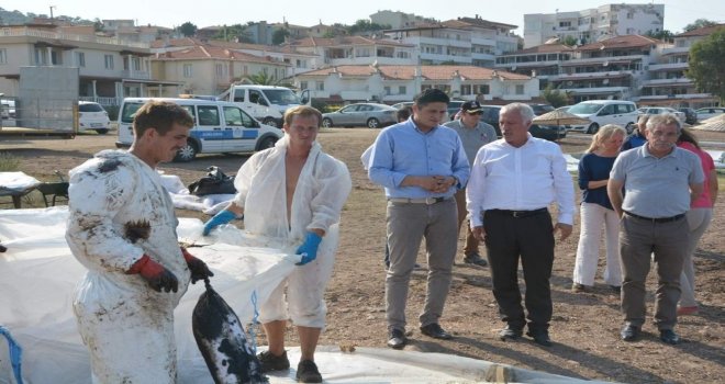 Başkan Acardan Foçaya Destek