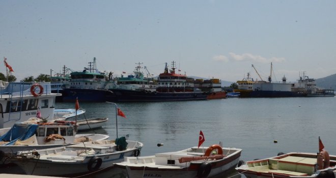 Ordulu Balıkçılar Yeni Sezona Tam Gaz Hazırlanıyor