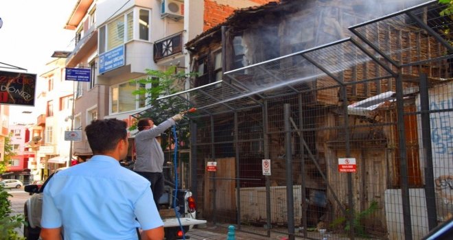 Metruk Binalarda Haşere Tehlikesi