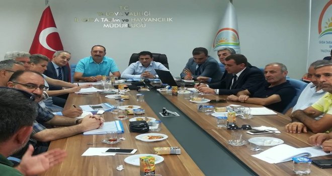 Süs Bitkileri İçin Tarsimde Sona Gelindi