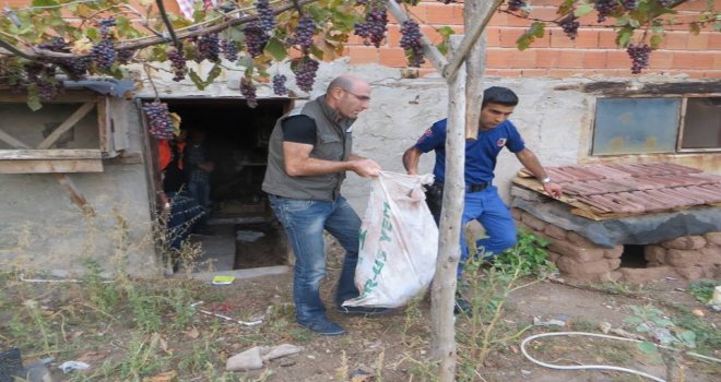 Nallıhanda Kızıl Geyik Avlayanlar Cezasız Kalmadı