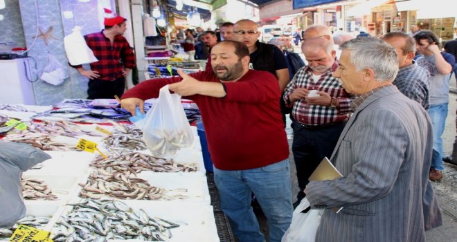 Kestane Karası Balıkları Yerinden Çıkarttı