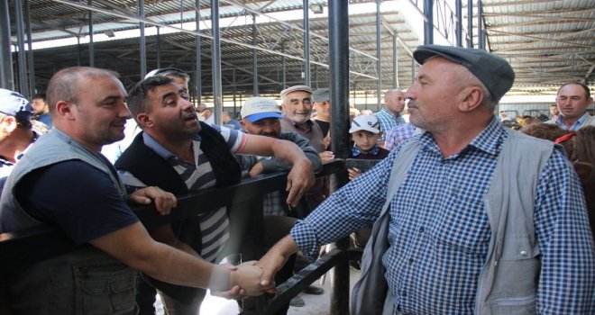 1 Ton 600 Kiloluk Paşa Otomobil Fiyatına Satıldı