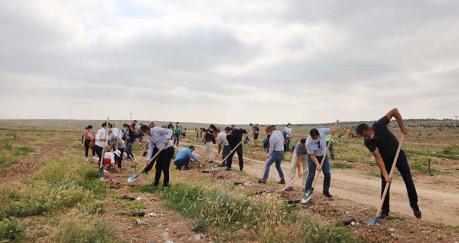 ESKİ MADEN SAHASI ORMANA DÖNÜŞÜYOR