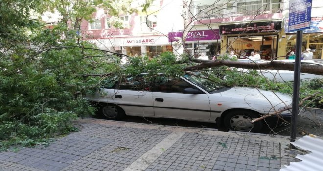 Malatyada Şiddetli Fırtına Ağaçları Devirdi