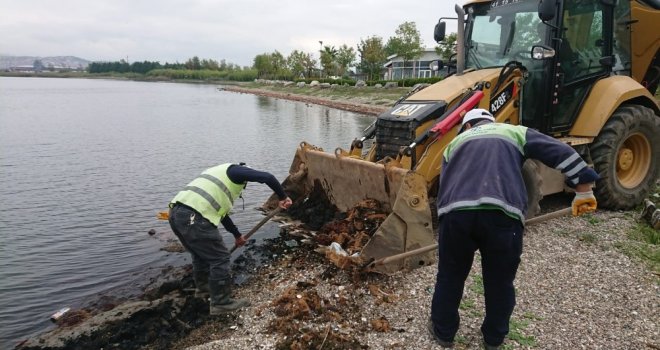 Kocaeli Sahillerinden 4 Günde 12 Kamyon Çöp Temizlendi