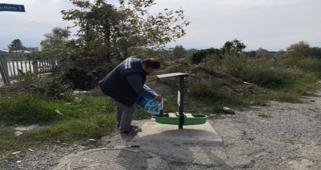 Akyazı Belediyesi Sokak Hayvanlarının Yanında