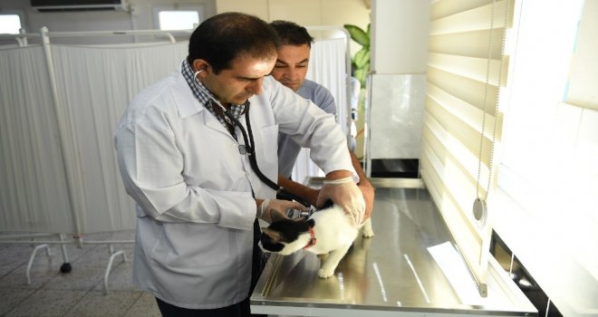 Yeşilyurt Belediyesinden Ücretsiz Aşılama Hizmeti