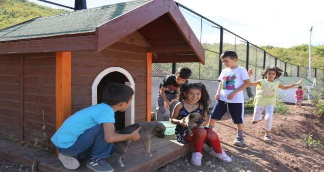 Minikler, Bakıma Alınan Sokak Hayvanlarını Sevdi