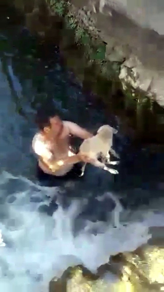 Antalyada Dereye Düşen Yavru Köpek Suya Giren Genç Tarafından Kurtarıldı