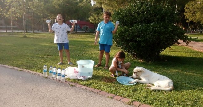 Su Satarak Hayvanlara Mama Alan Miniklere Piriştinadan Destek