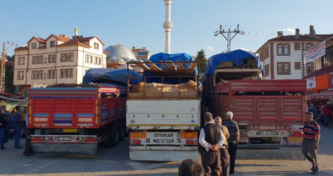 Kastamonudan 8 Tır Dolusu Kurbanlık, İstanbula Gönderildi
