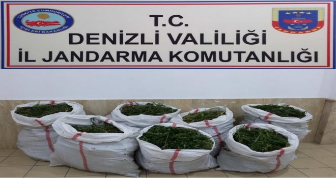 Jandarmadan 102 Kilo Dev Esrar Operasyonu