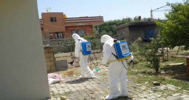 Mardinde Akrep Ve Haşere İle Mücadele Timi Kuruldu