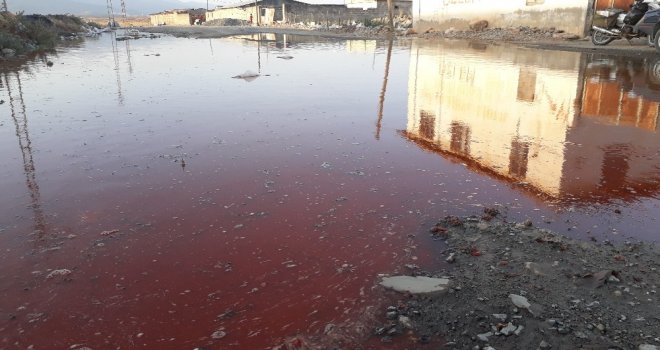 (Özel) İslahiyeyi Biber Suyu Bastı