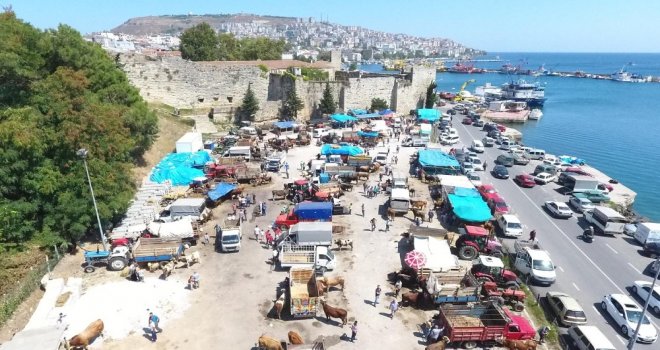 Sinopta Kurban Pazarında Yoğunluk