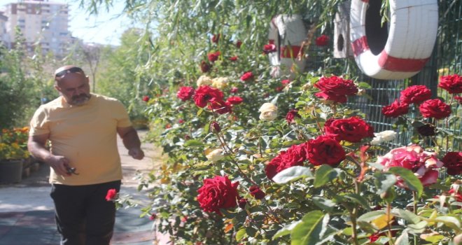Bataklık Olan Alanı Atatürk Sevgisi Sayesinde Botanik Bahçesine Dönüştürdü