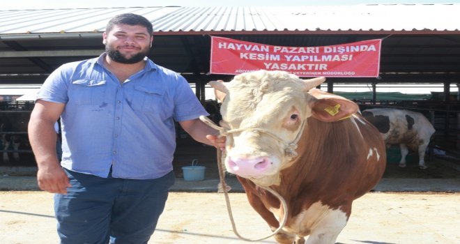 Otomobil Fiyatına Kurbanlık