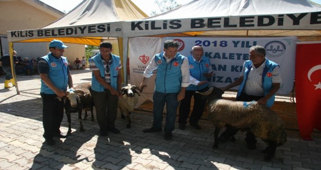 Bakanların Kurbanları Kiliste Kesildi