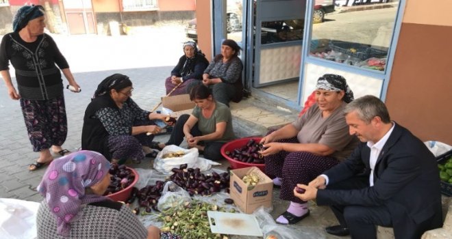 Belediye Başkanı Tahmazoğlu Patlıcan Oydu