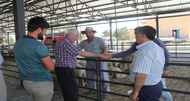 Başkan Karayol Hayvan Pazarını Ziyaret Etti