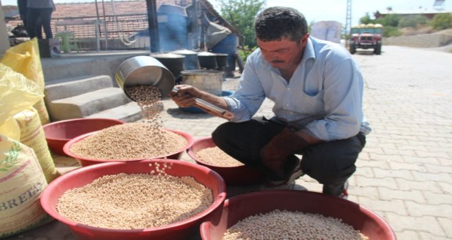 Ağın Leblebisine Talep Çoğaldı, Üretim Yüzde 300 Arttı