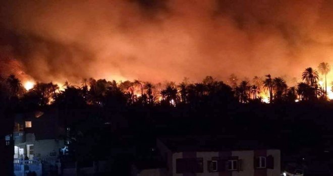 Mısır Vadi Cedidde 104 Dönüm Hurma Bahçesi Yandı