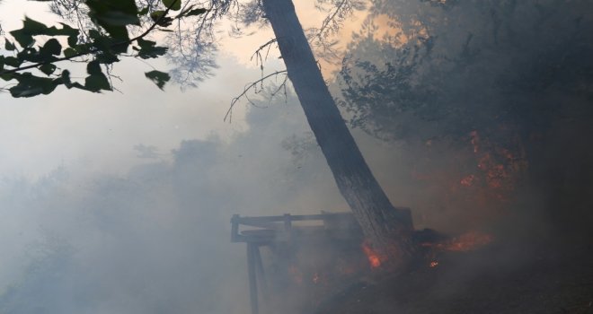 Hataydaki Yangında 40 Hektarlık Orman Alanı Zarar Gördü
