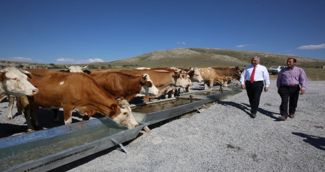 Büyükşehirin 2018 Kırsal Yatırımı 110 Milyon Tl