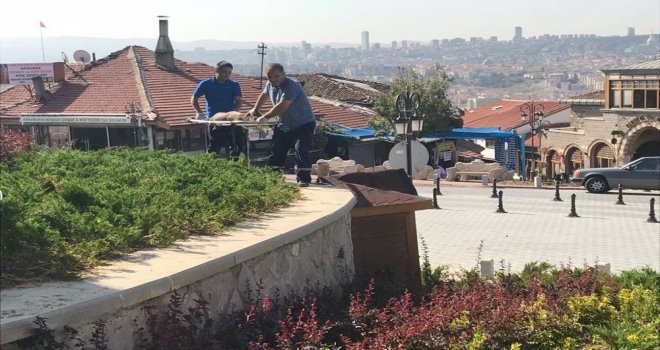 Altındağdaki Hasta Sokak Köpeğine Anında Müdahale