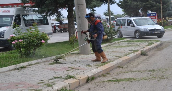 Şuhutta Çim Biçme Çalışmaları Tam Gaz Devam Ediyor