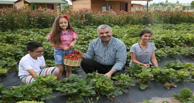 Başkan Çelikten Doğal Çağrı