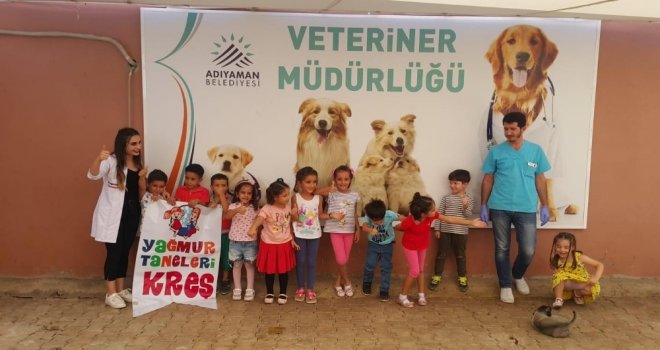 Öğrenciler Barınma Merkezideki Hayvanları Sevdi