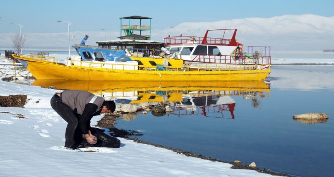 Büyükşehir Belediyesi Yaban Ve Sokak Hayvanlarını Unutmadı