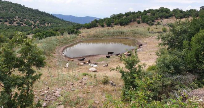 Büyükşehir’den 10 yeni hayvan içme suyu göleti