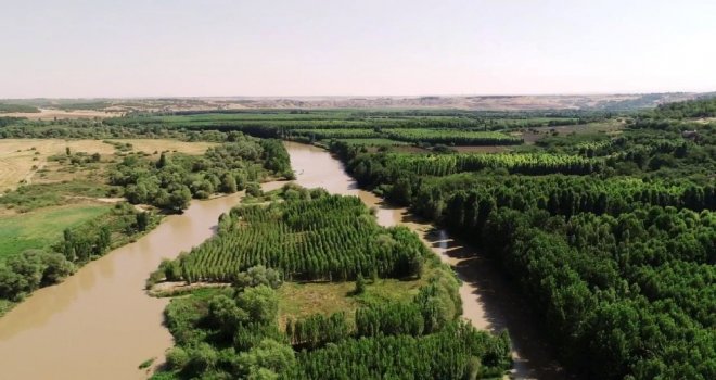 (Özel) Diyarbakırda Şehrin Kenarında Saklı Kuş Cenneti