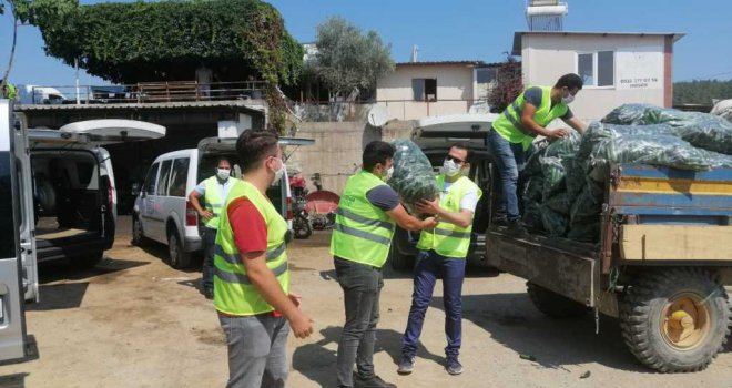Biz Varız dayanışması sürüyor 48 ton taze salatalık dağıtıldı