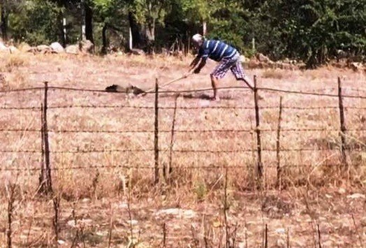 Kürekle Şahin Öldüren Şahsa 10 Bin Tl Para Cezası