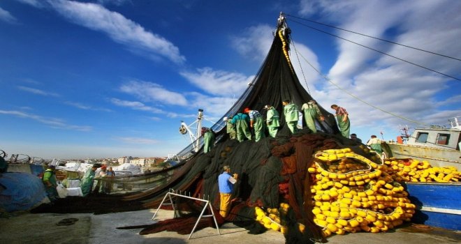 Tekirdağda Balık Sezonu Başlıyor