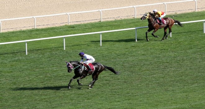 Başkanlık Koşusunda Kazanan Montana