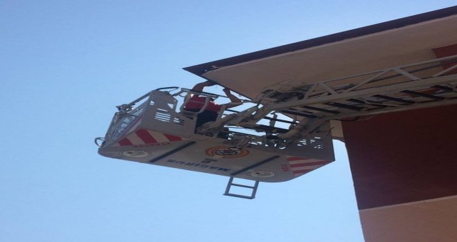 Apartmanın Çatısındaki Boşluğa Sıkışan Ebabil Kuşunu İtfaiye Kurtardı