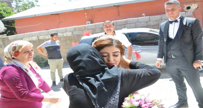 Şaşırtan Benzerlik