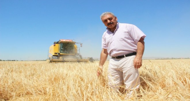 Ziraat Odası Başkanı Muğlu: “Kazanamayan Çiftçi Buğday Ekimini Bırakıyor”