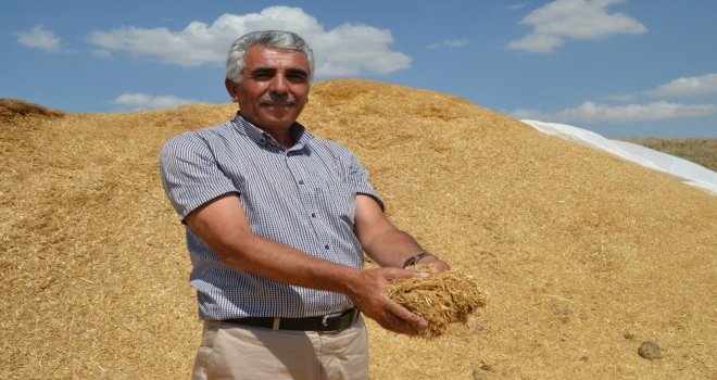 Muşlu Çiftçiden Abdye Dolar Tepkisi