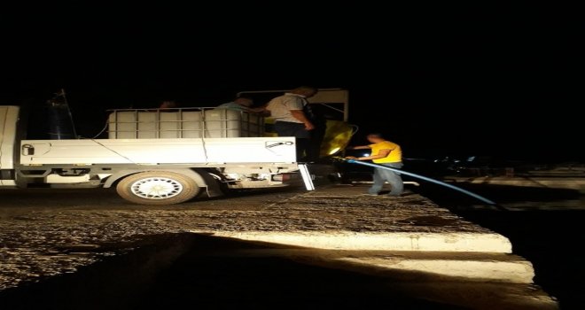 Eğirdir Gölüne 150 Bin Yavru Sazan Balığı Salındı