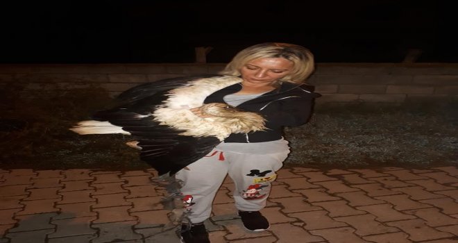 Ayağı Saman Balyasına Takılan Leylek Kurtarıldı