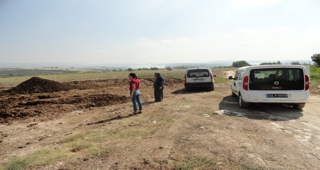 Tarsus Belediyesinin Kokuyla Mücadelesi Devam Ediyor