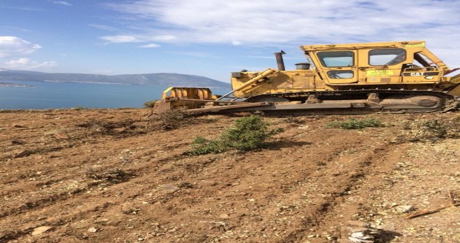 Eğirdir Gölü, Lavanta Bahçeleriyle Birleşiyor