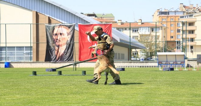 Jakem Komutanlığına Bağlı Köpeklerin Gösterileri Nefesleri Kesti